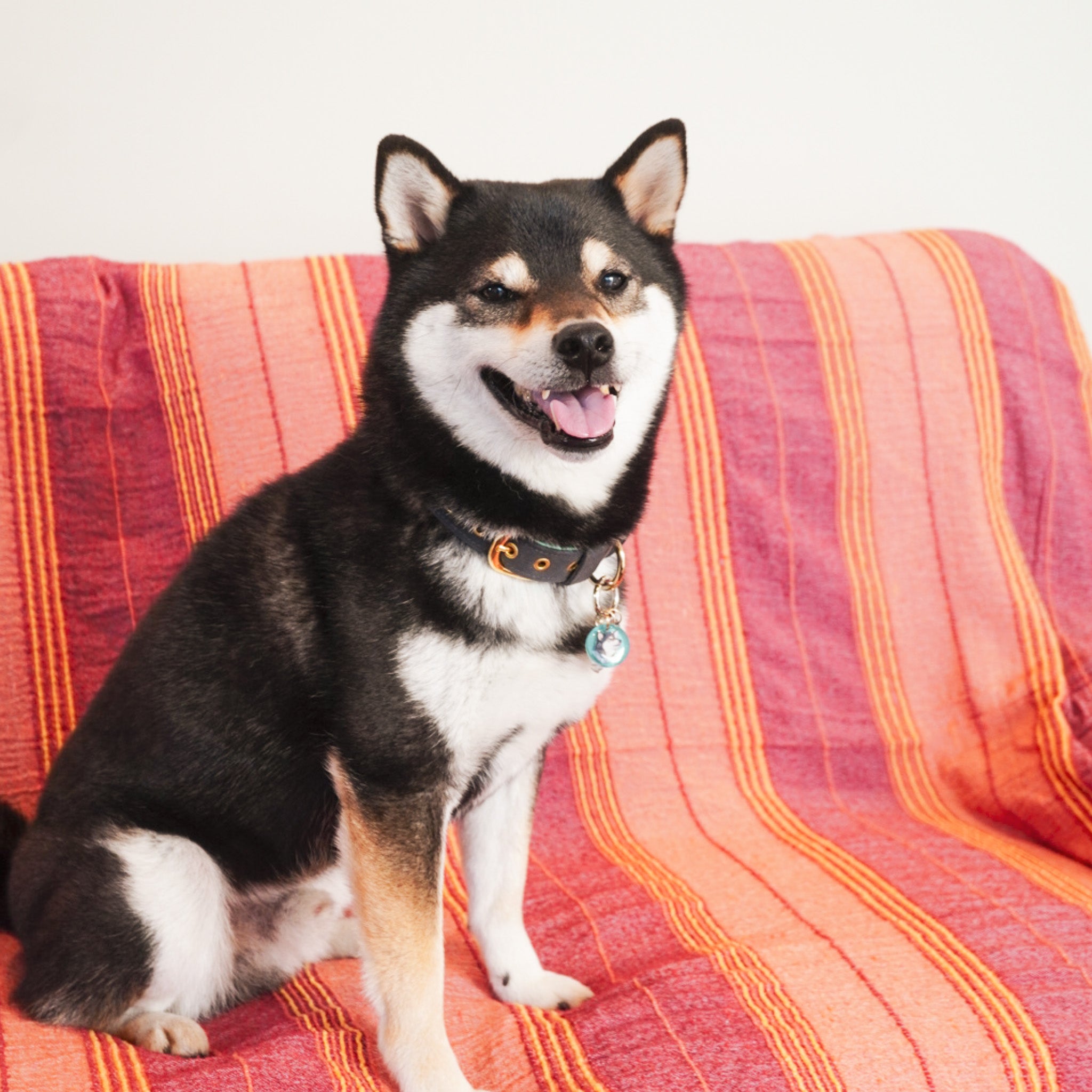 オーダーメイド受付お休みのお知らせ