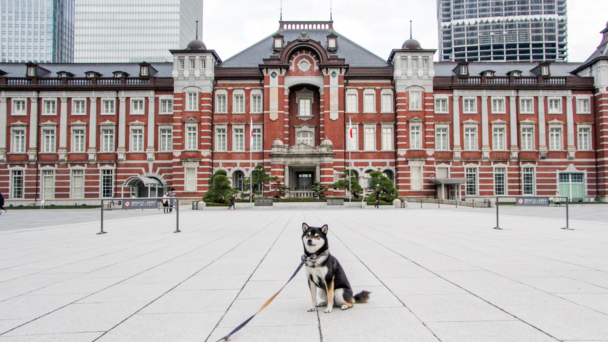 2121/1/12-24 & 2/8-21 東京駅 エキュート東京