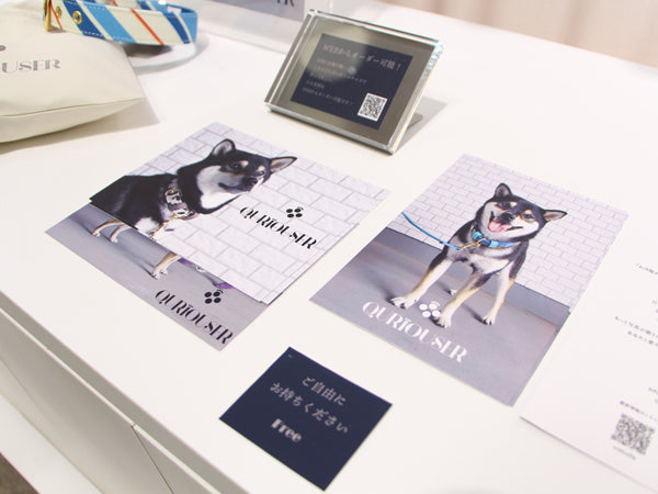 2020/11/03-09 千葉そごう