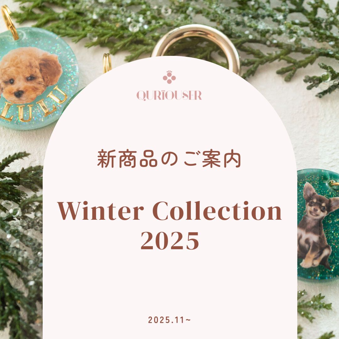 Winter Collection 2025