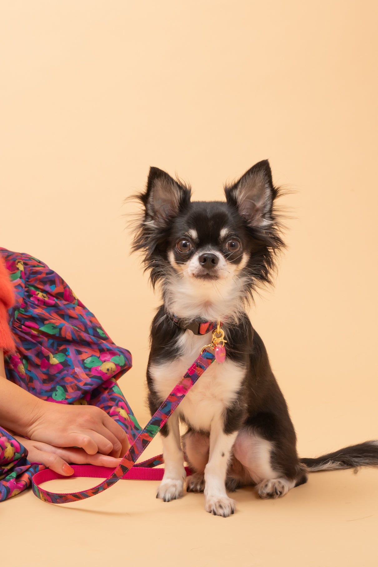 【小型犬専用】LIBERTY FABRICS LEAD / Wandering