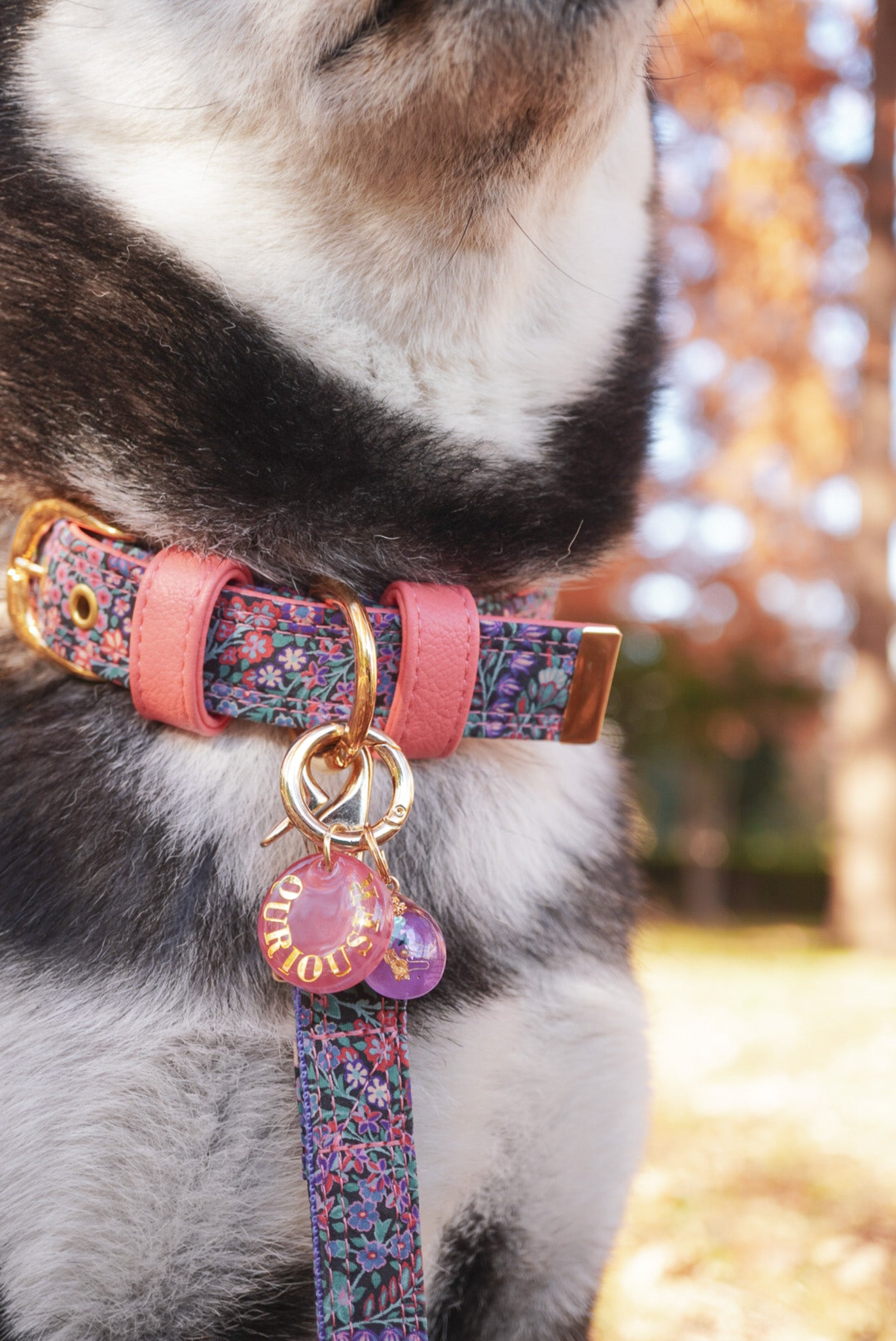 LIBERTY FABRICS COLLAR / Secret Garden