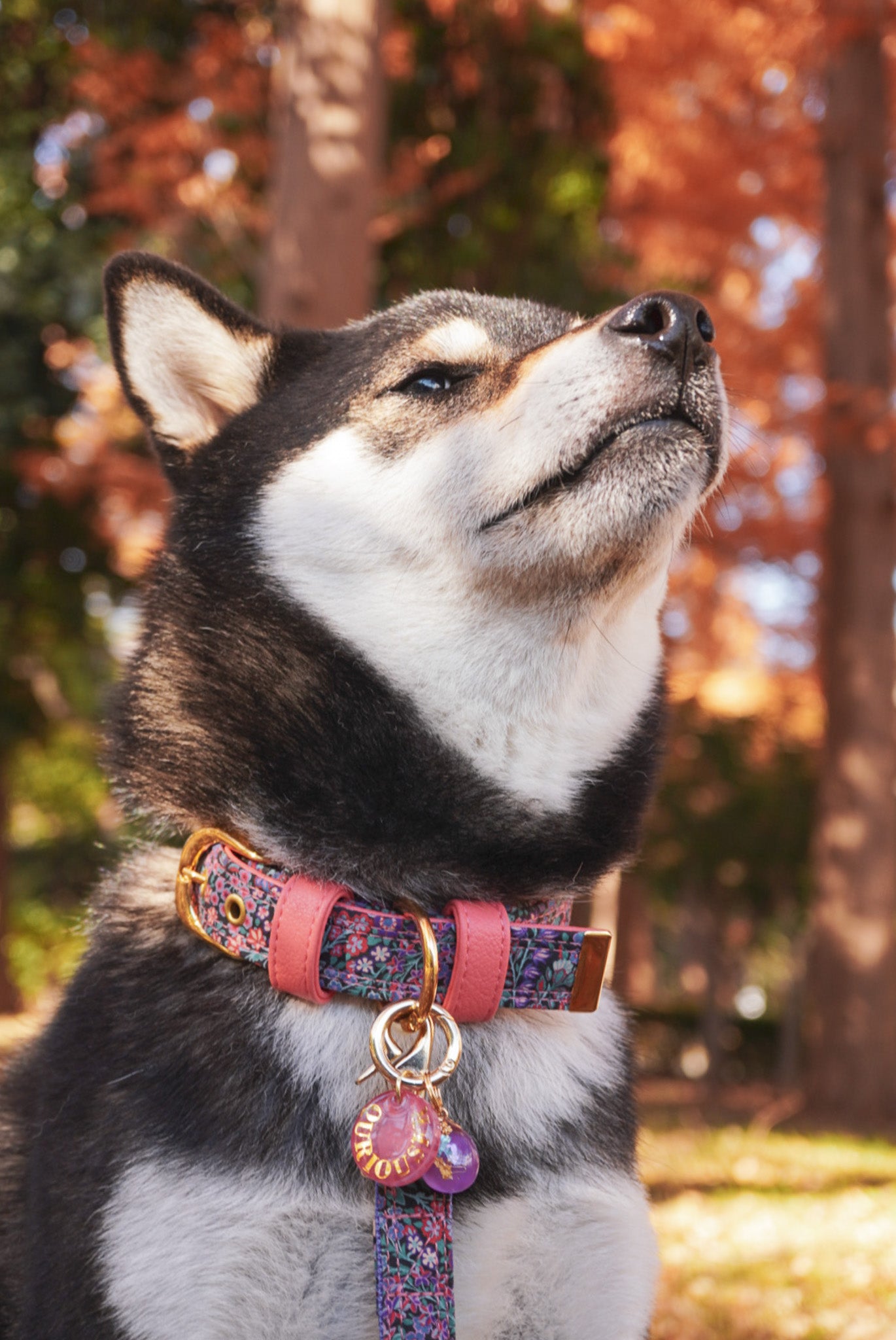 LIBERTY FABRICS COLLAR / Secret Garden