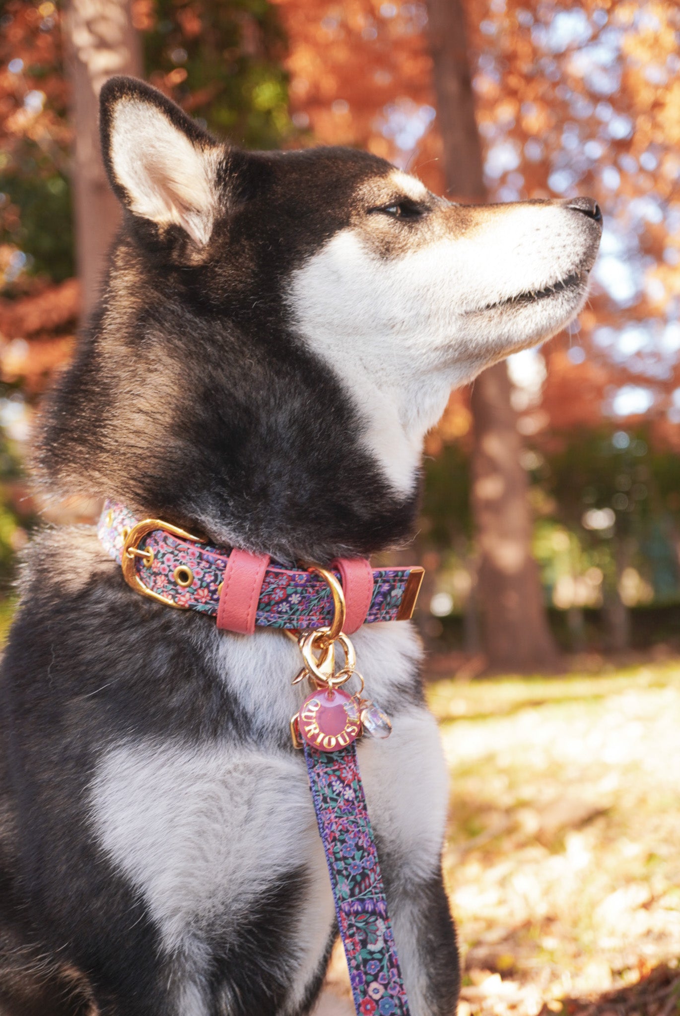 LIBERTY FABRICS COLLAR / Secret Garden