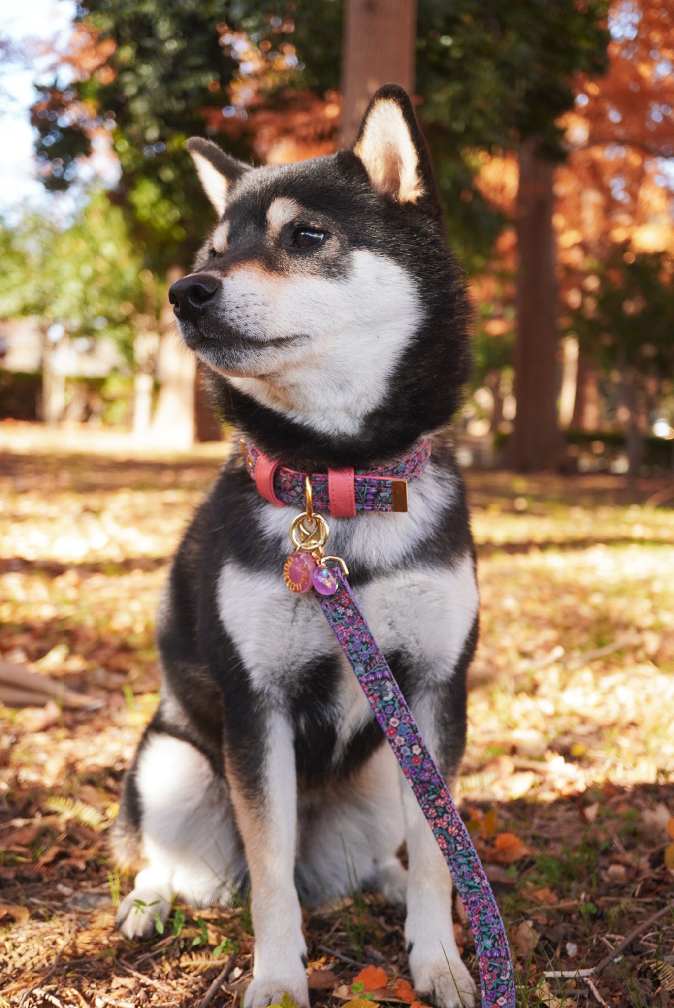 LIBERTY FABRICS LEASH / Secret Garden