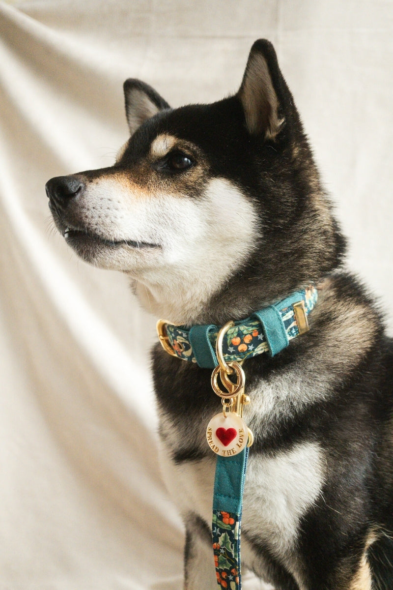 【Heart Collection 25AW】ハート迷子札 全3色