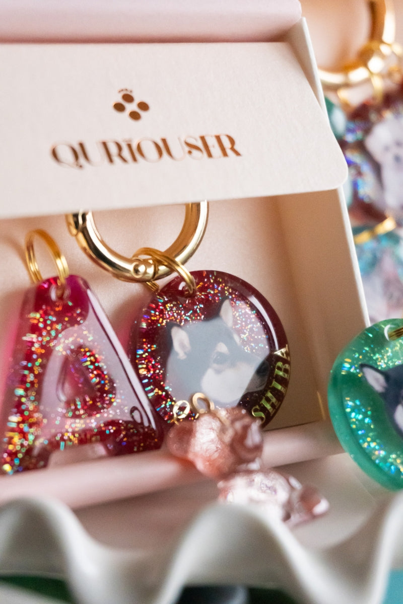 【Holiday Limited 2025】アルファベット迷子札