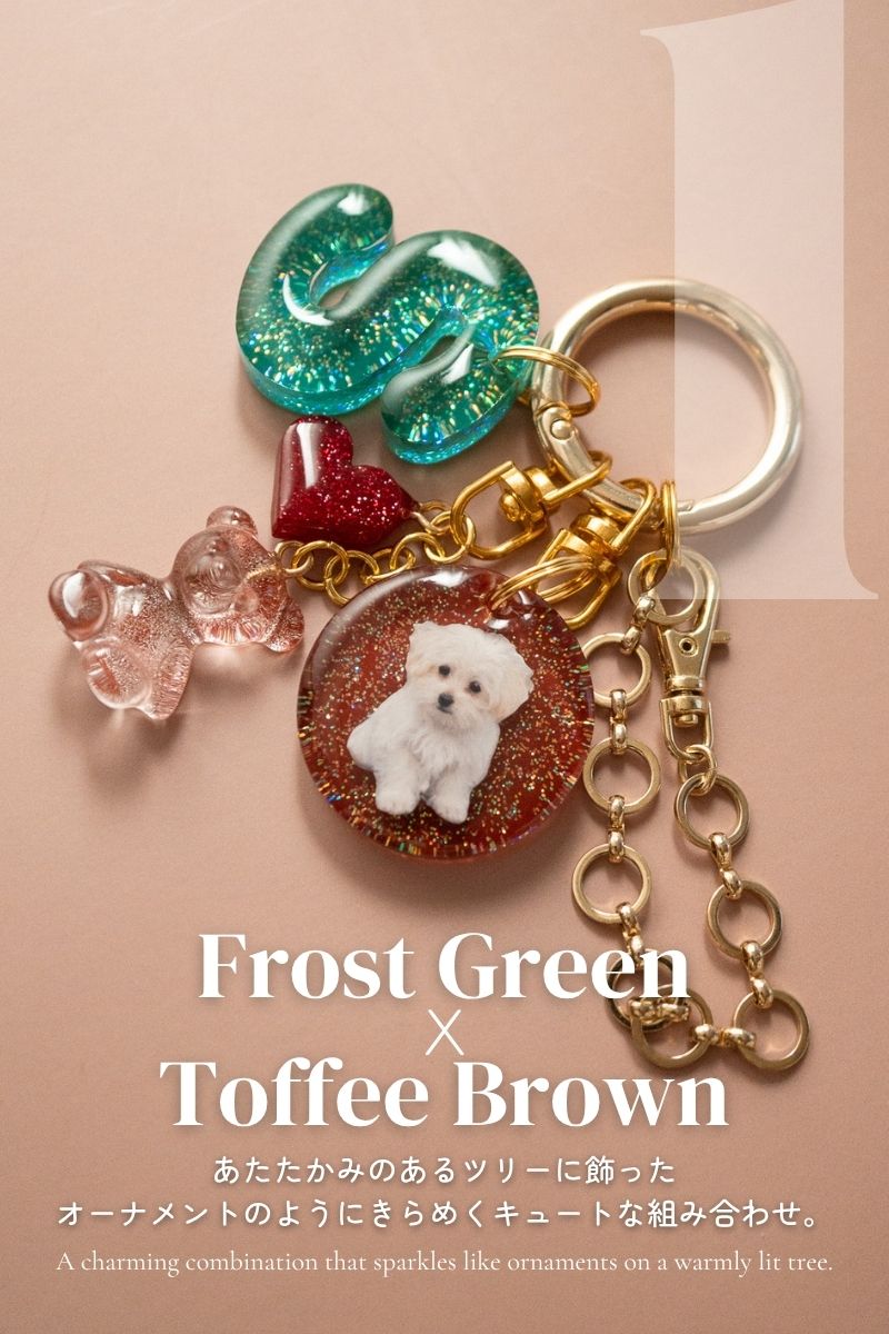 【Seasons Edition 25AW】フルセット 全6色