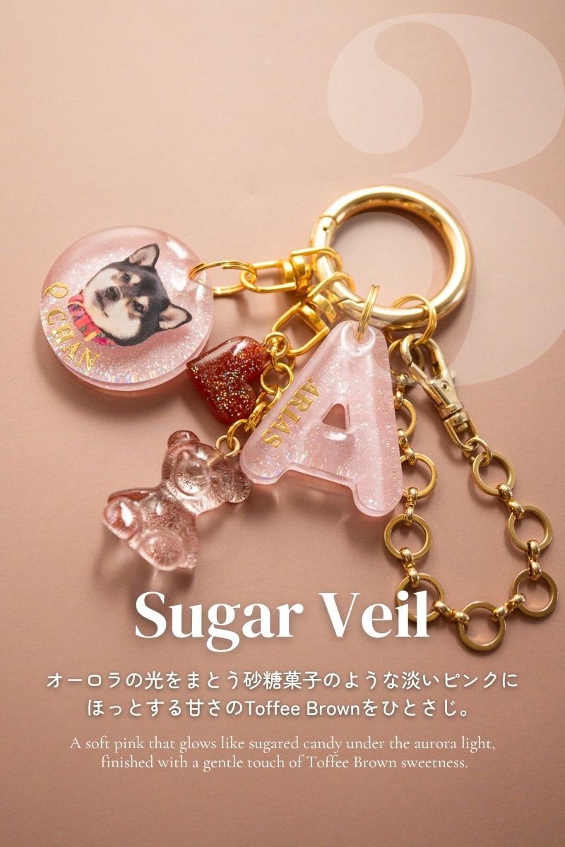 【Seasons Edition 25AW】フルセット 全6色