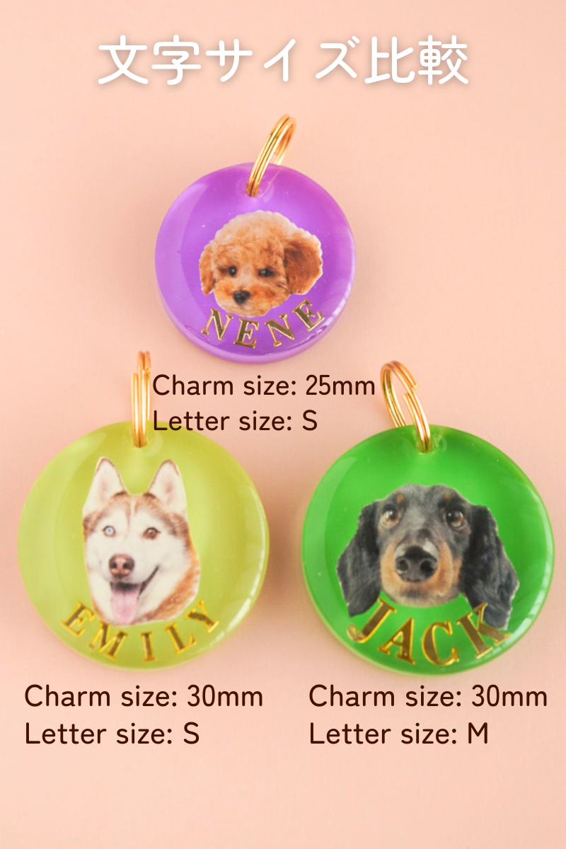 【Seasons Edition 25AW】フルセット 全6色