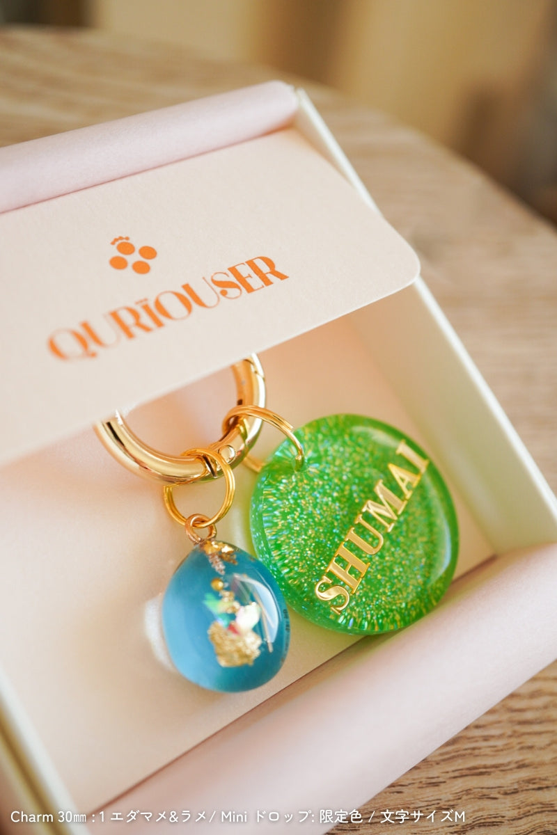 【フルカスタム】迷子札&ミニチャーム