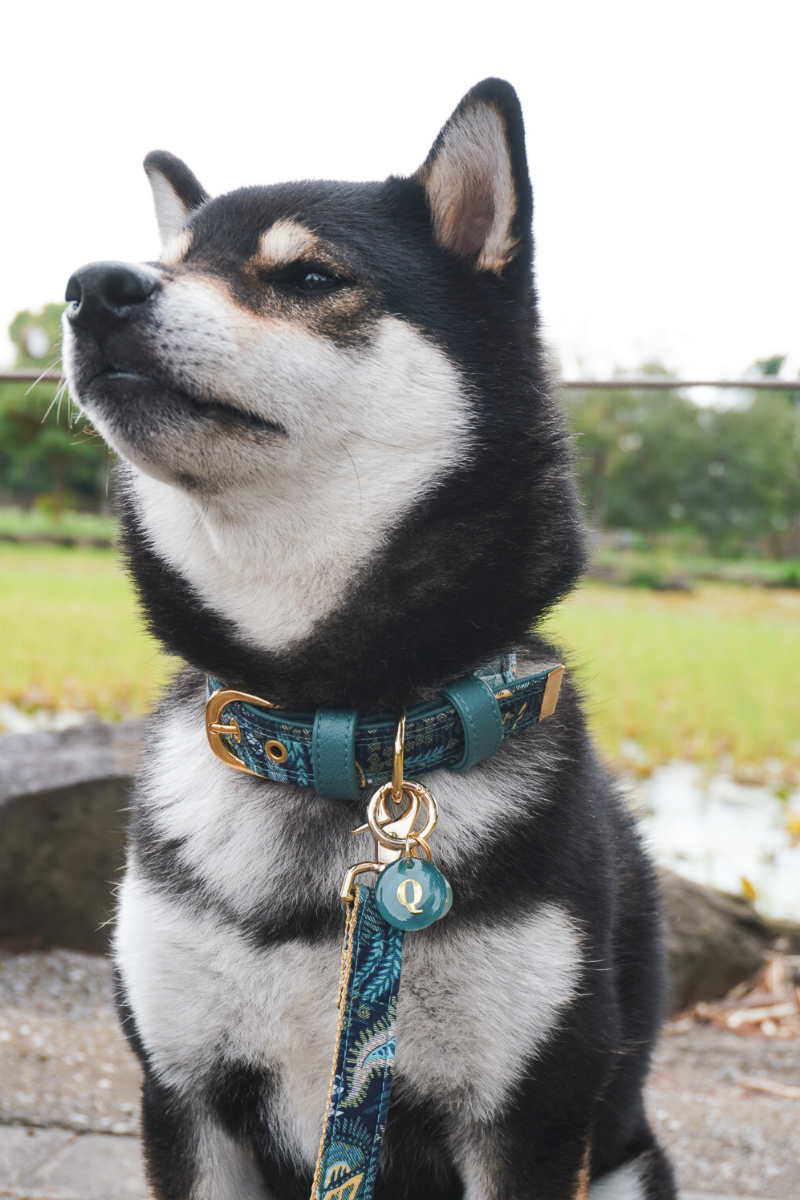 LIBERTY FABRICS LEASH / Holy Night