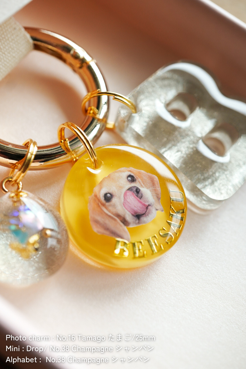 【フルカスタム】フルセット