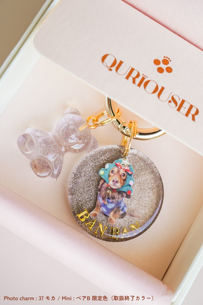 【フルカスタム】うちの子&ミニチャーム