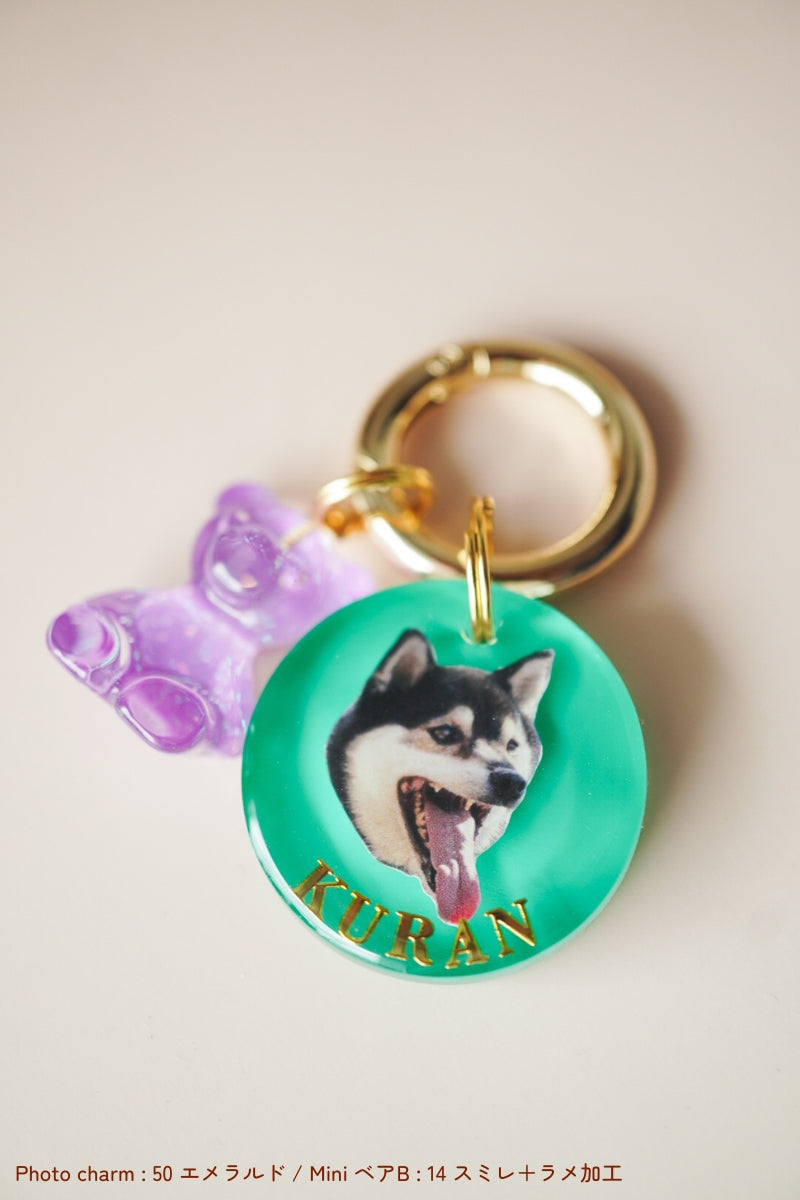 【フルカスタム】うちの子&ミニチャーム