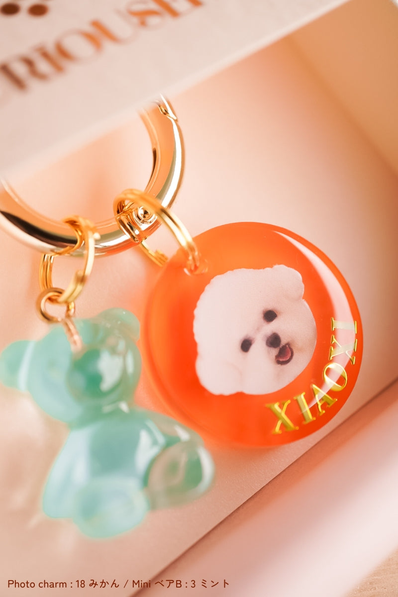 【フルカスタム】うちの子&ミニチャーム