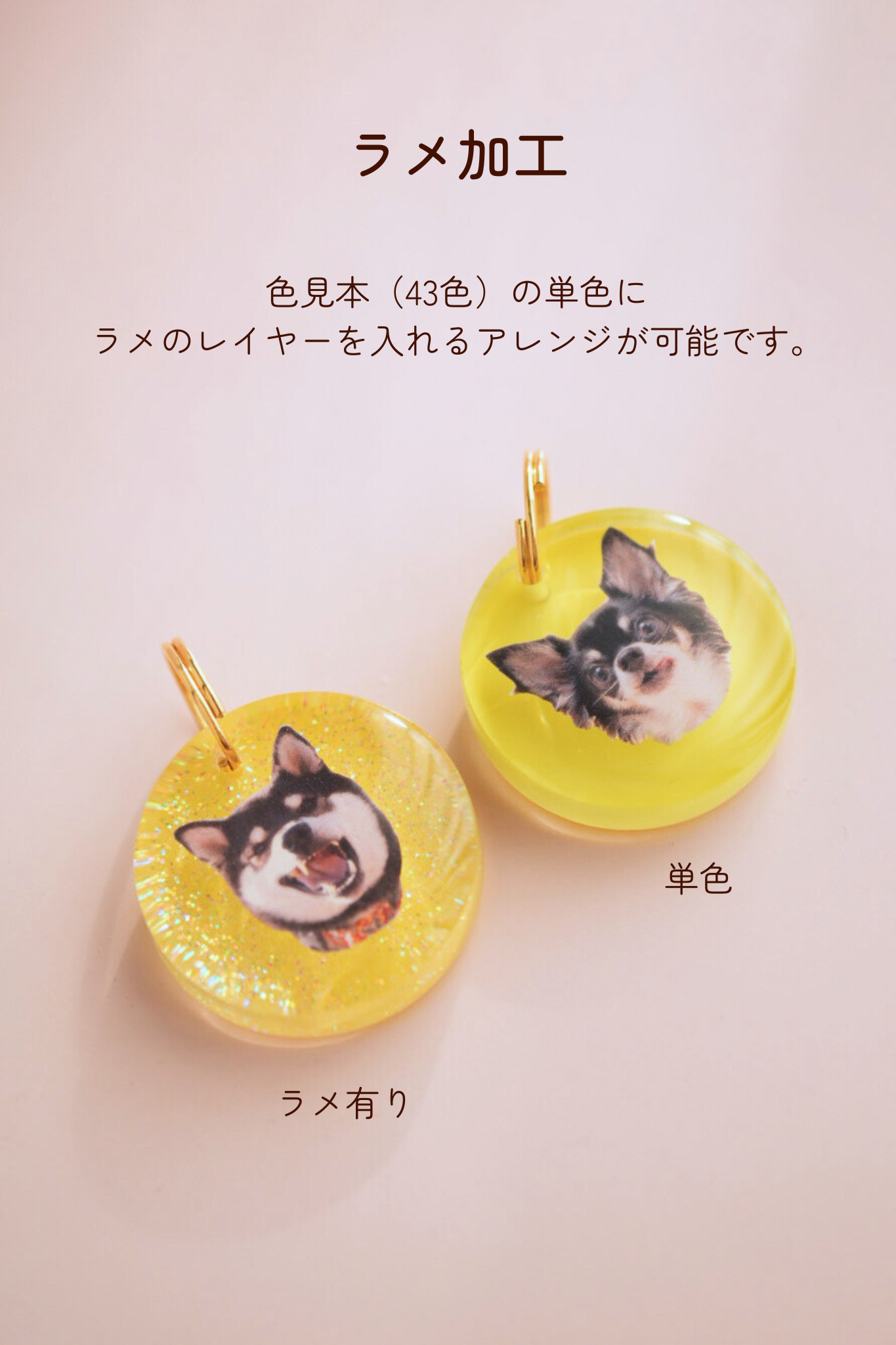 【フルカスタム】うちの子&ミニチャーム