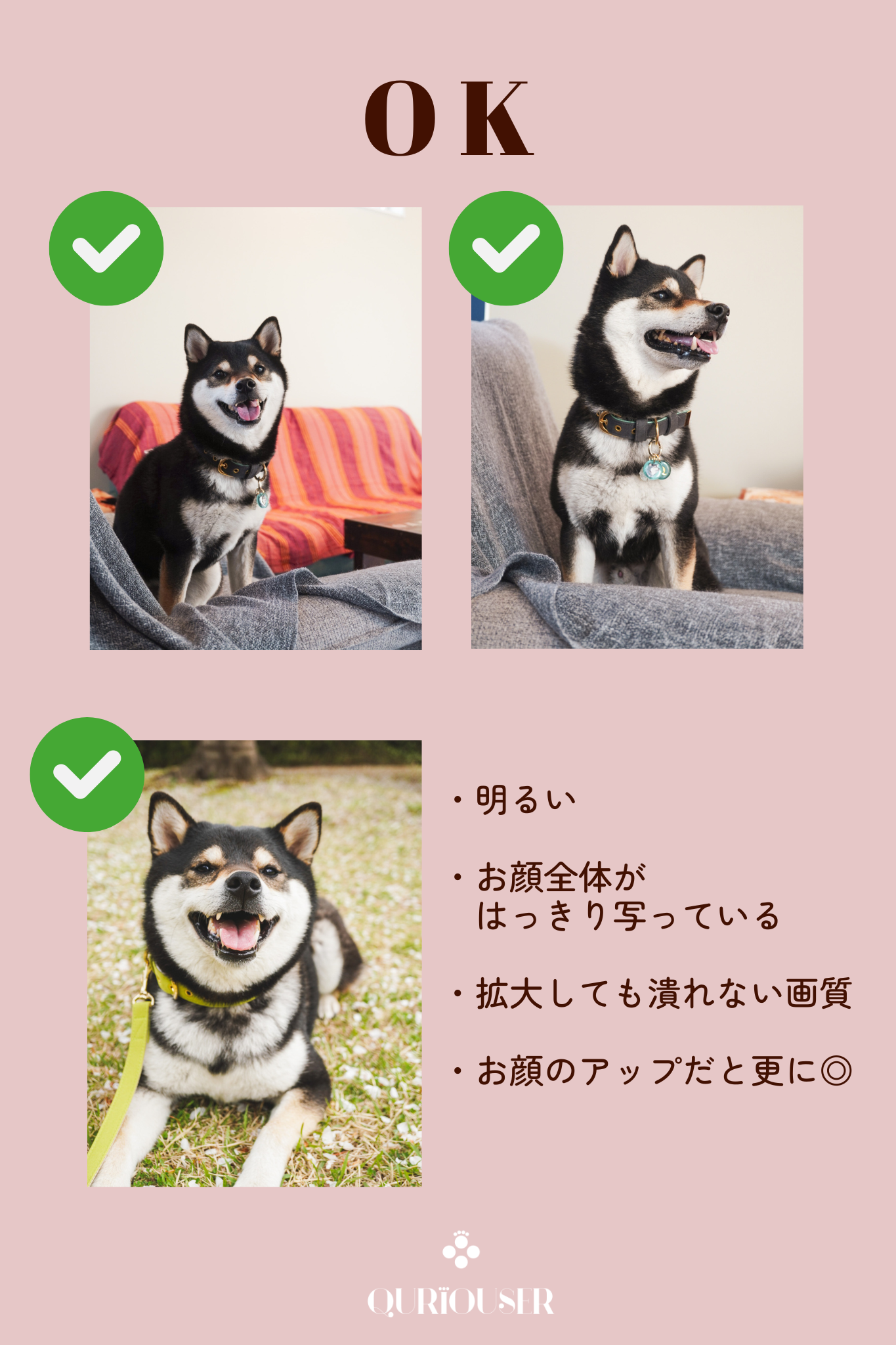 【PROUD DOG MUM】Heart Collection