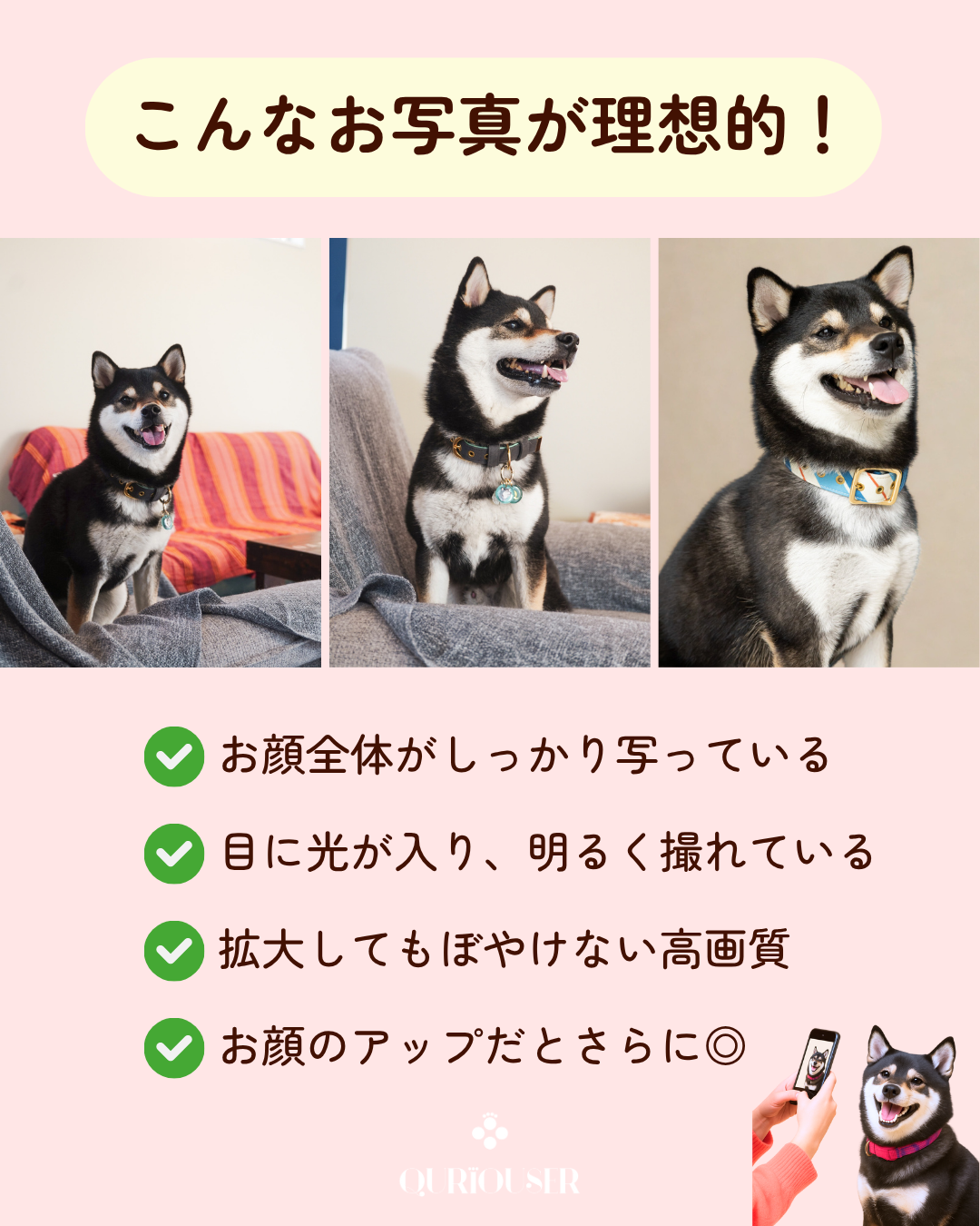 【Seasons Edition 25SS】フルセット