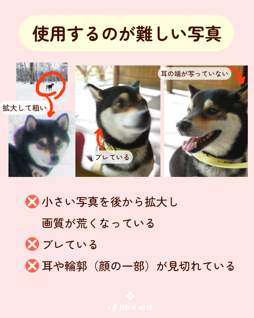 【Seasons Edition 25AW】フルセット 全6色