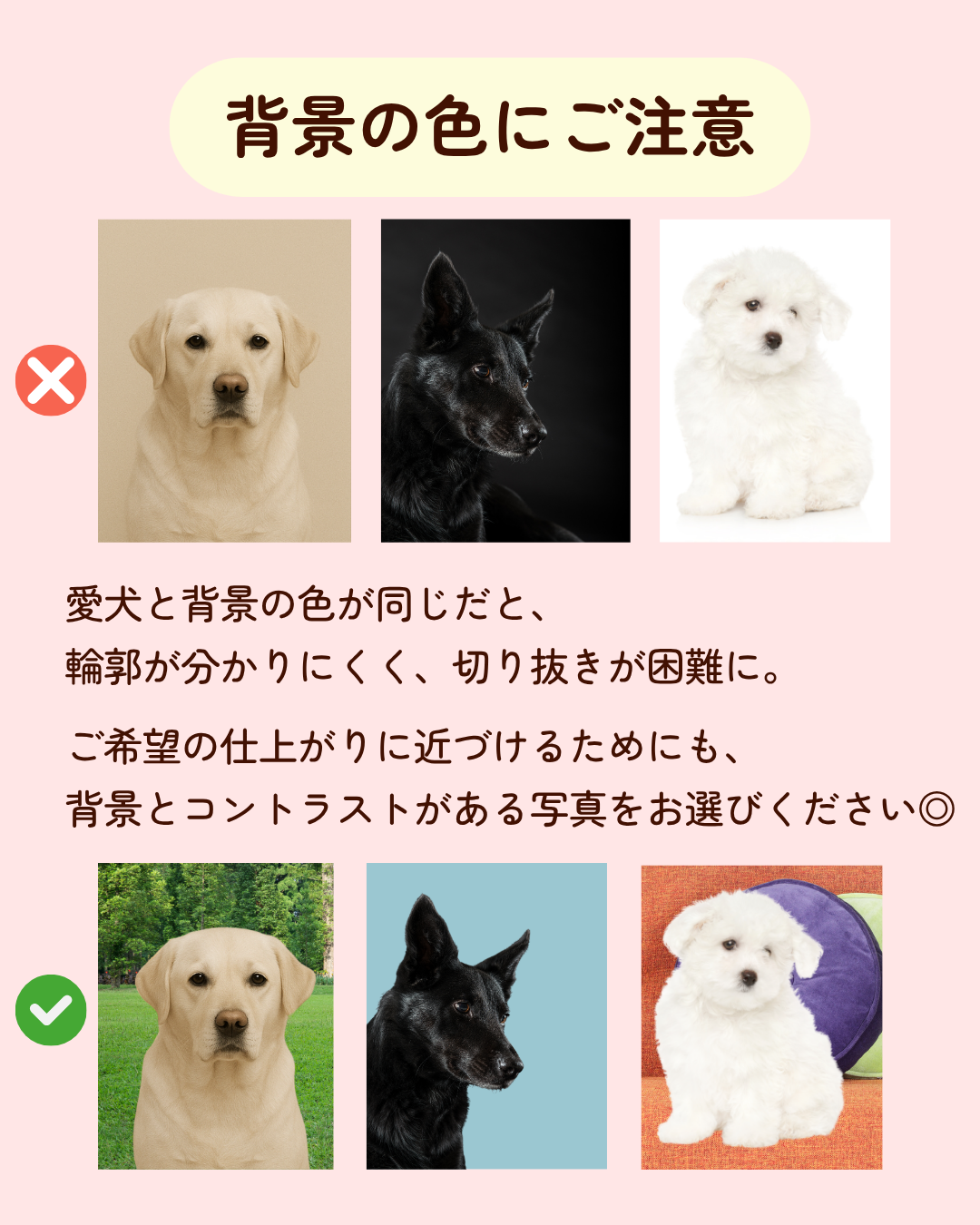 【Seasons Edition 25AW】フルセット 全6色