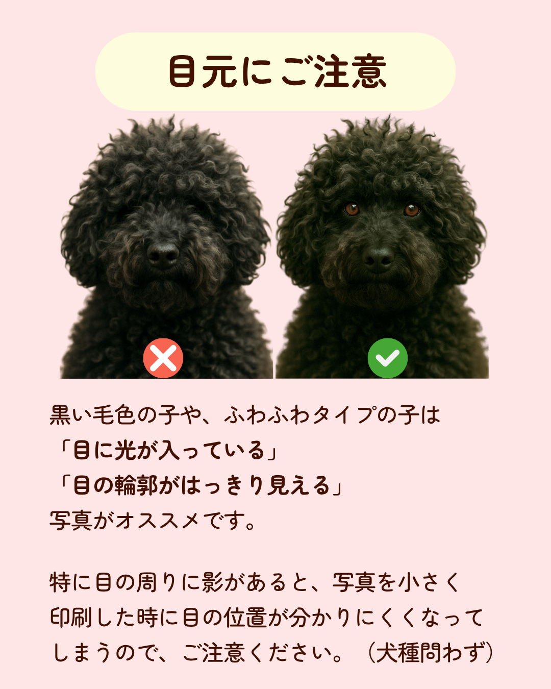 【Seasons Edition 25AW】フルセット 全6色