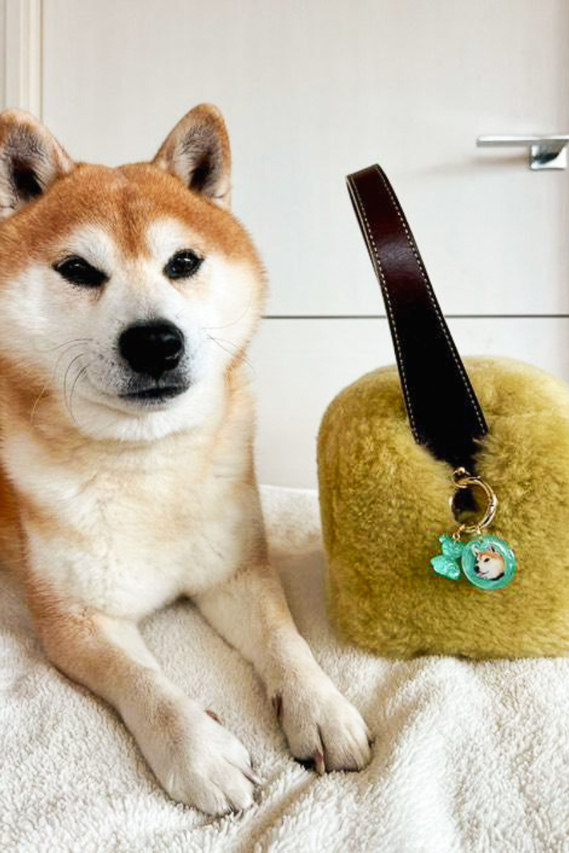 【フルカスタム】うちの子&ミニチャーム