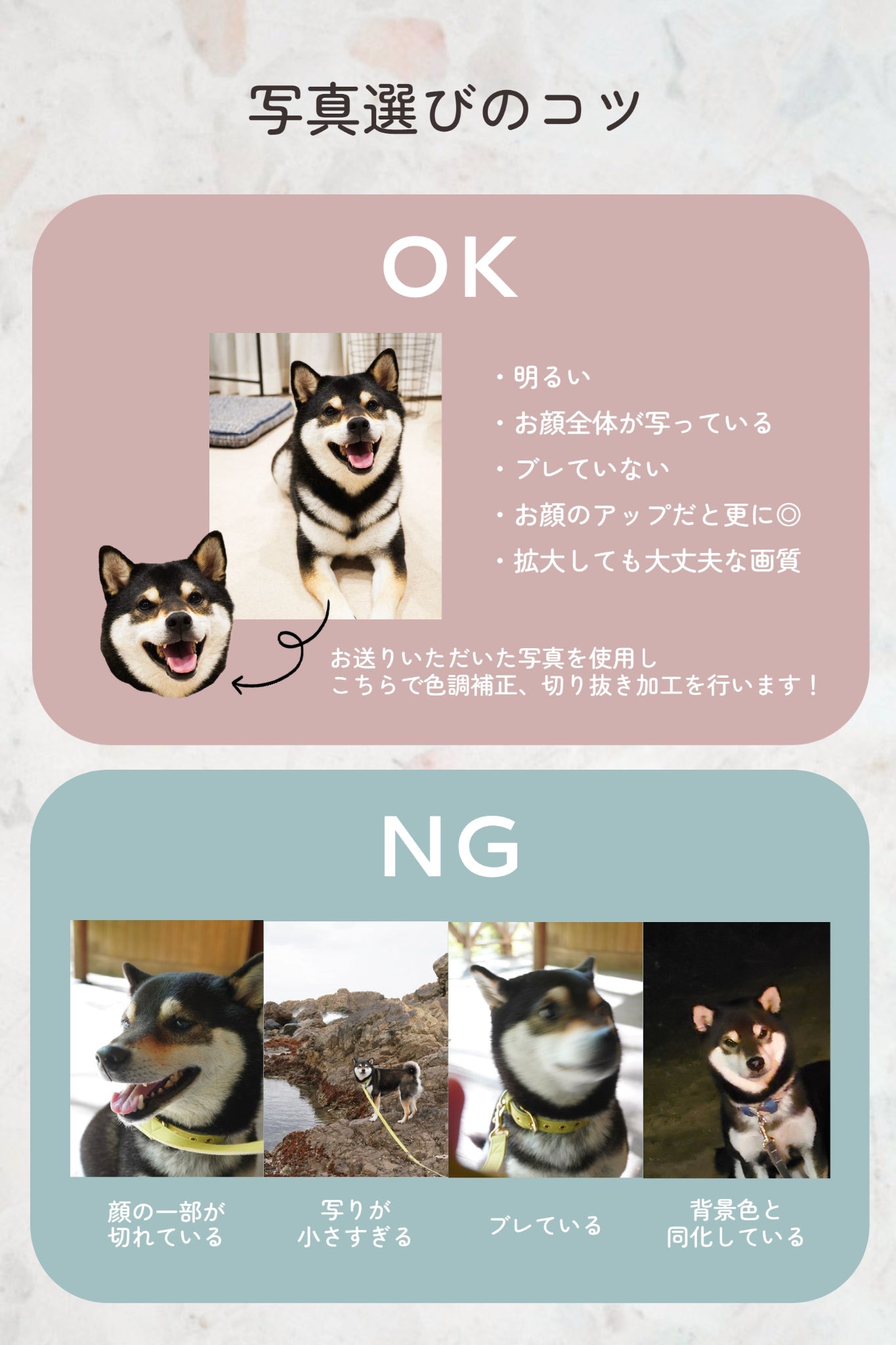 【Seasons Edition】うちの子&ミニチャーム【チョーカー付】