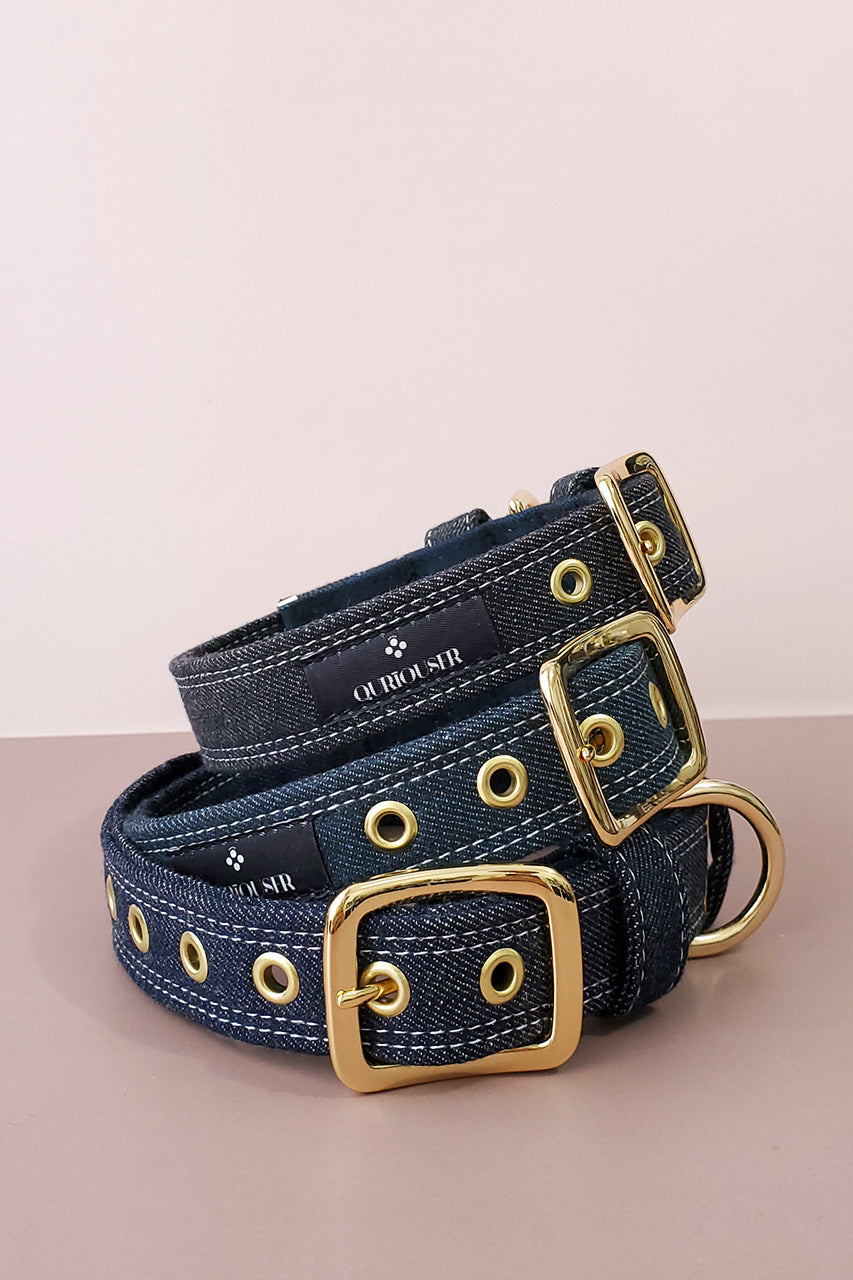 THE BASIC DENIM COLLAR 2