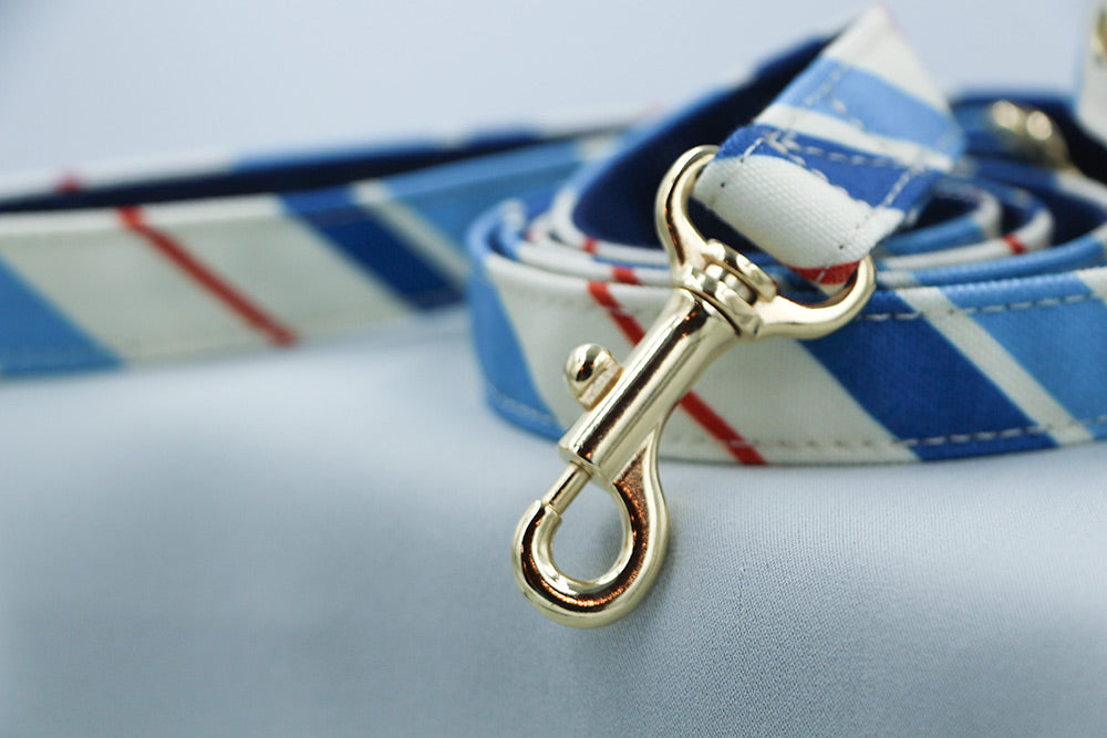 RANDOM STRIPE LEASH / BLUE