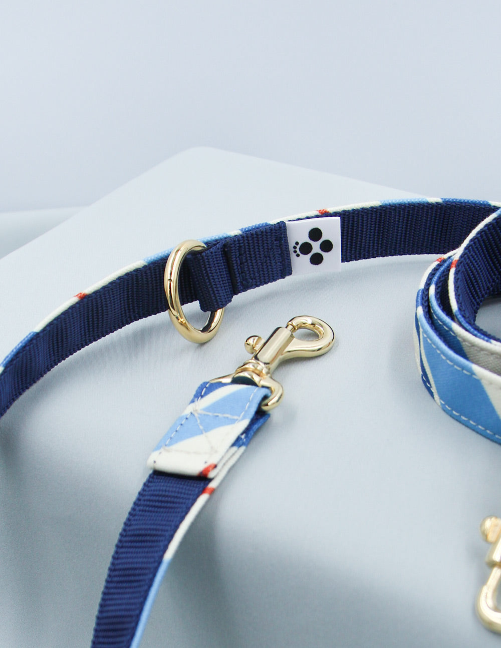 RANDOM STRIPE LEASH / BLUE
