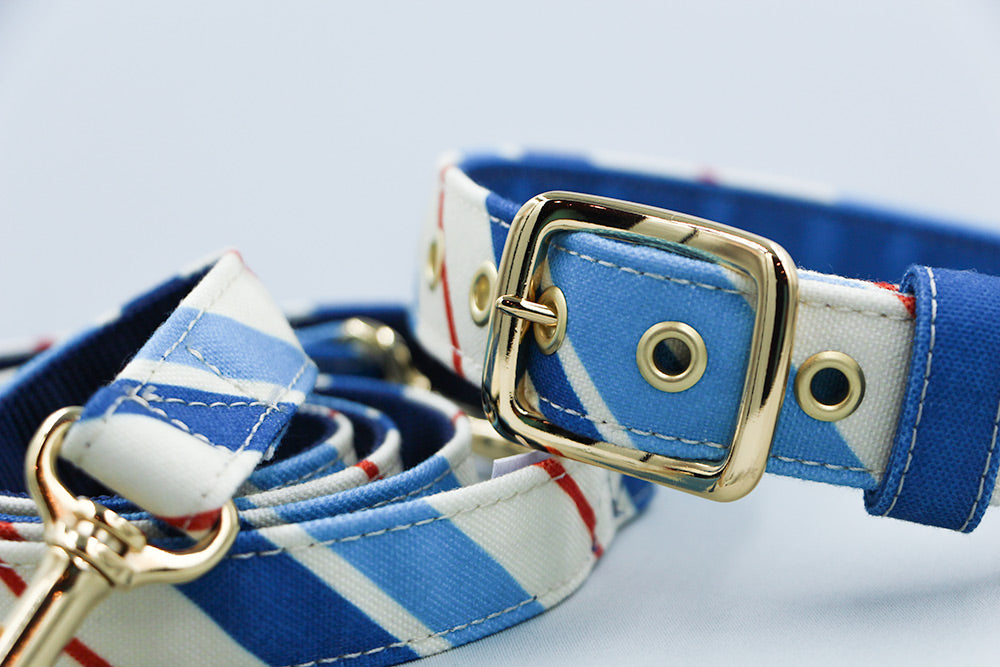 RANDOM STRIPE LEASH / BLUE