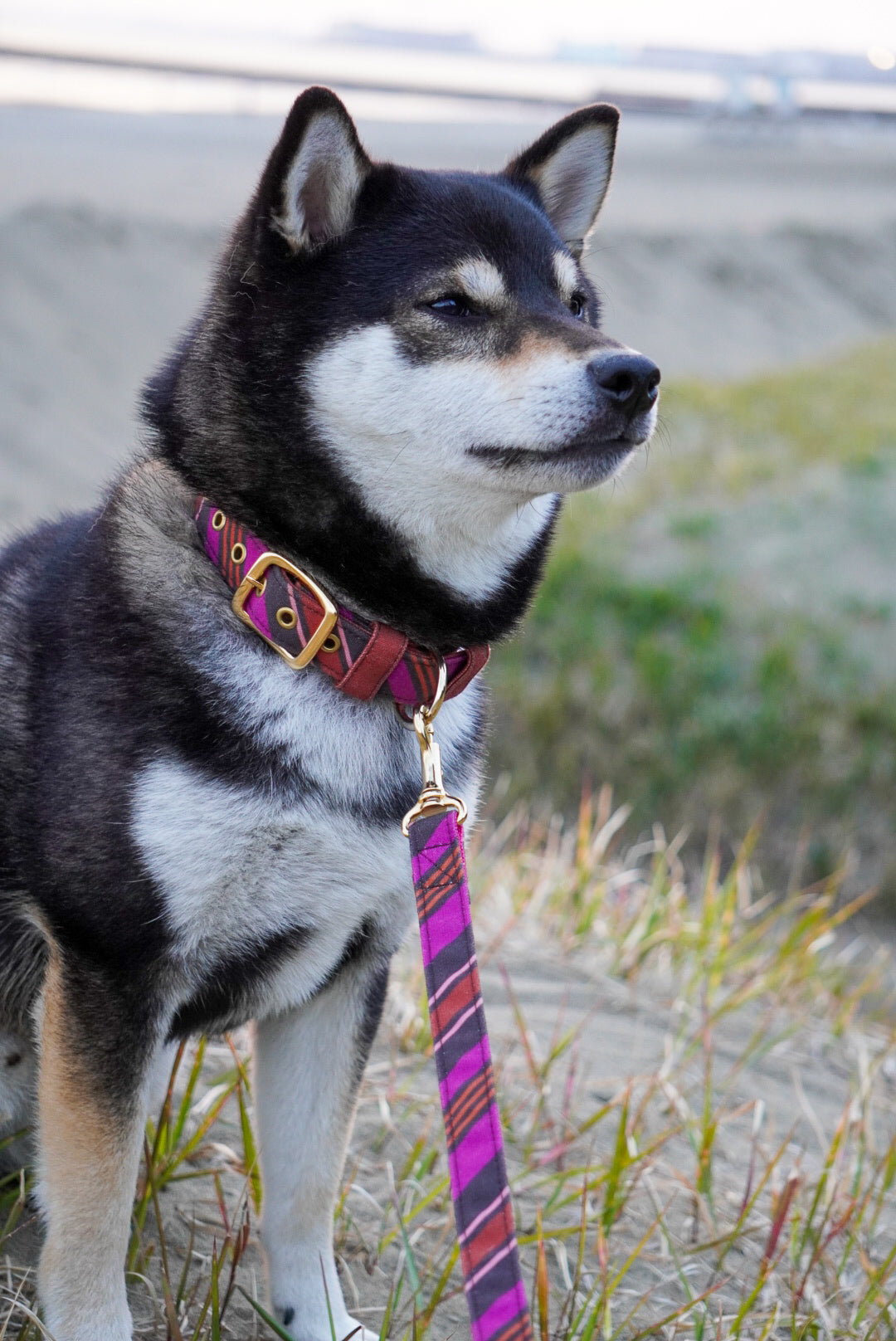 RANDOM STRIPE LEASH / CHOCO PINK