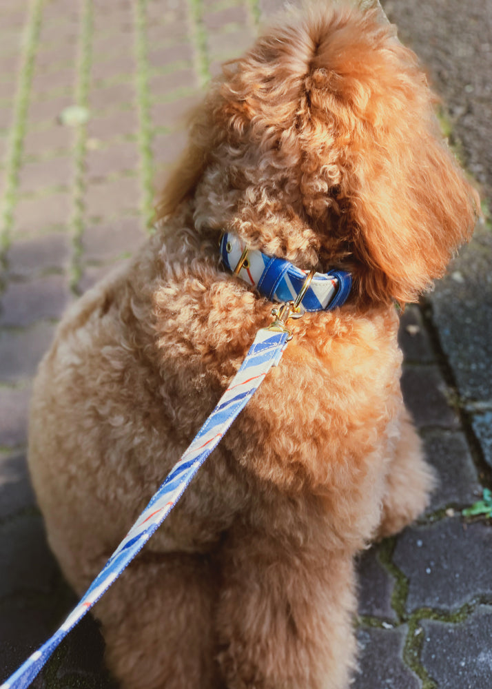 RANDOM STRIPE LEASH / BLUE