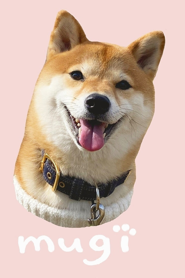 THE BASIC DENIM COLLAR 2