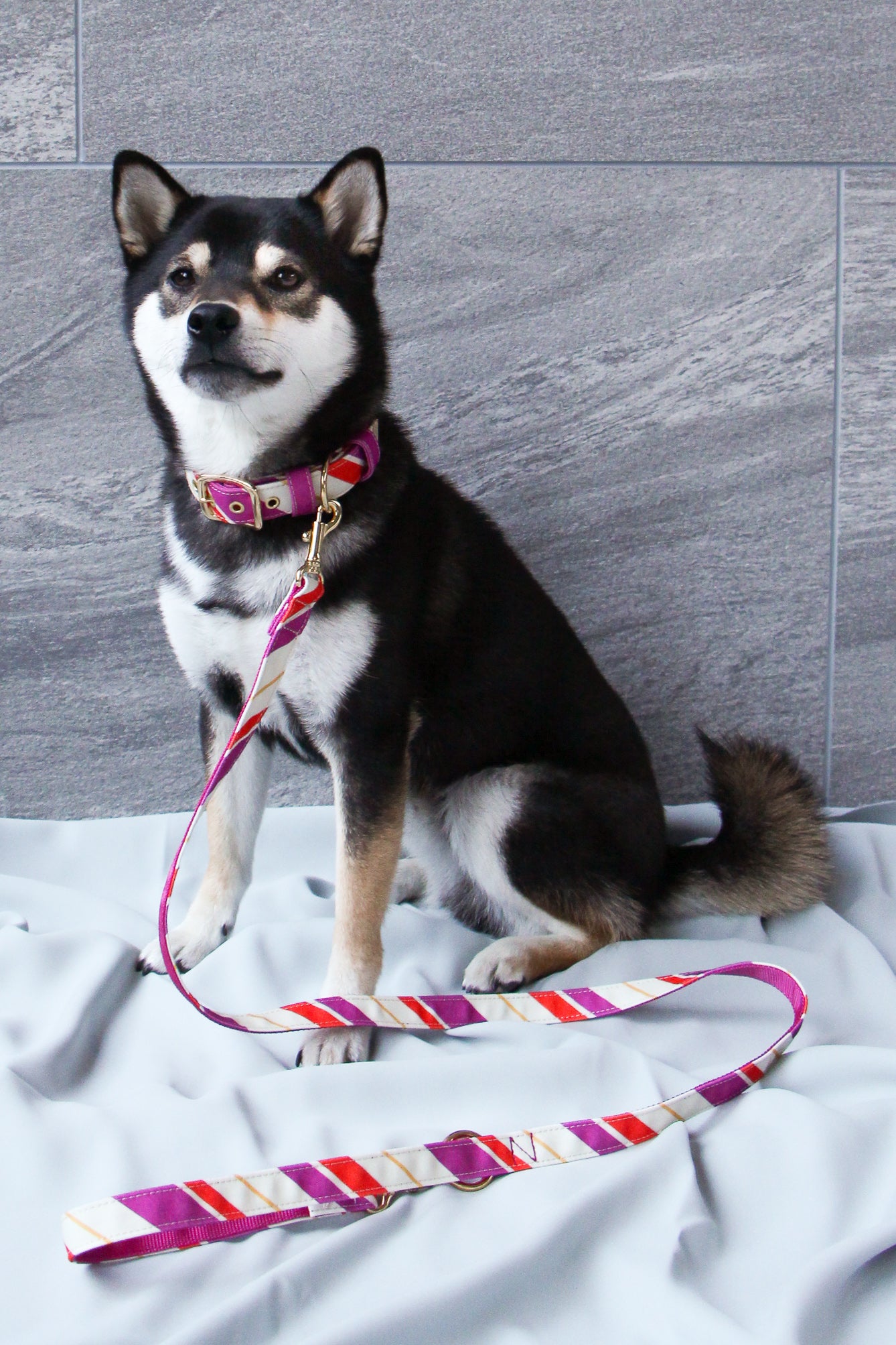 RANDOM STRIPE LEAD / PINK