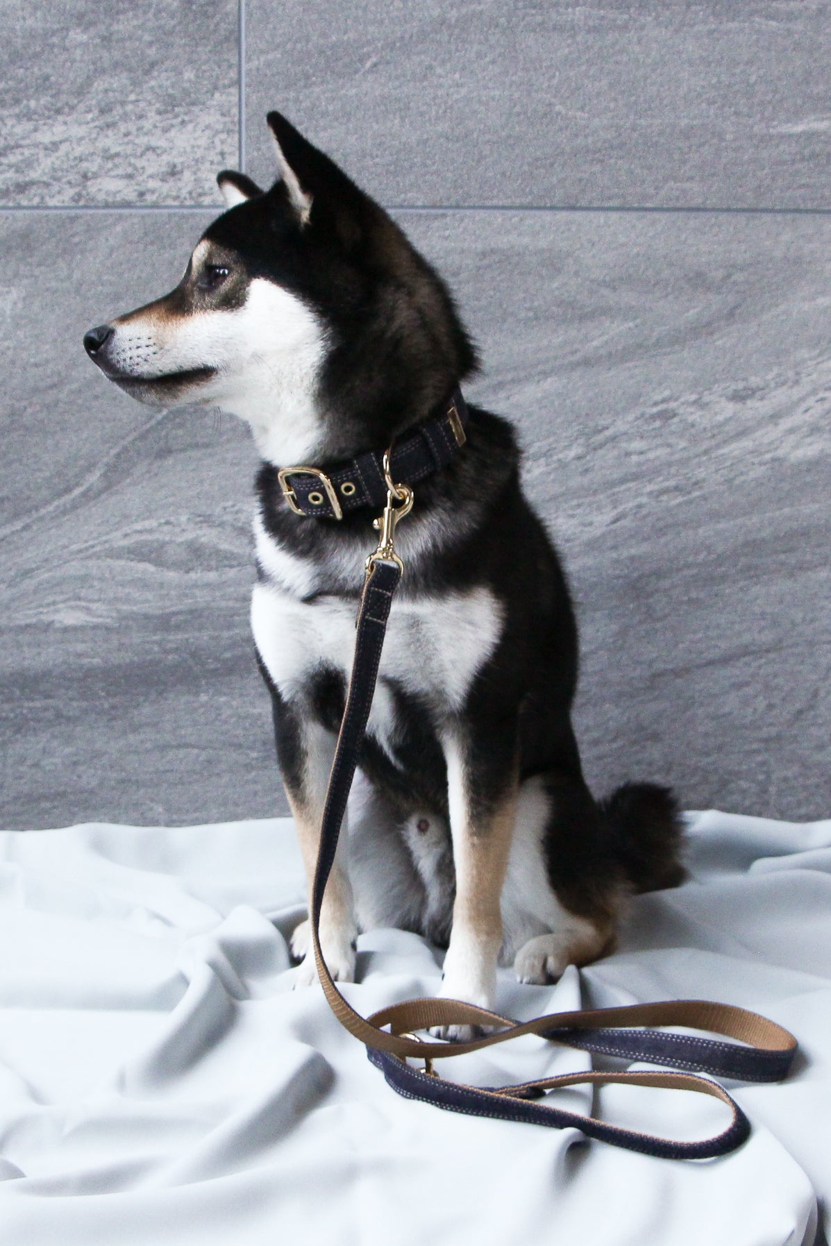 THE BASIC DENIM LEASH 2