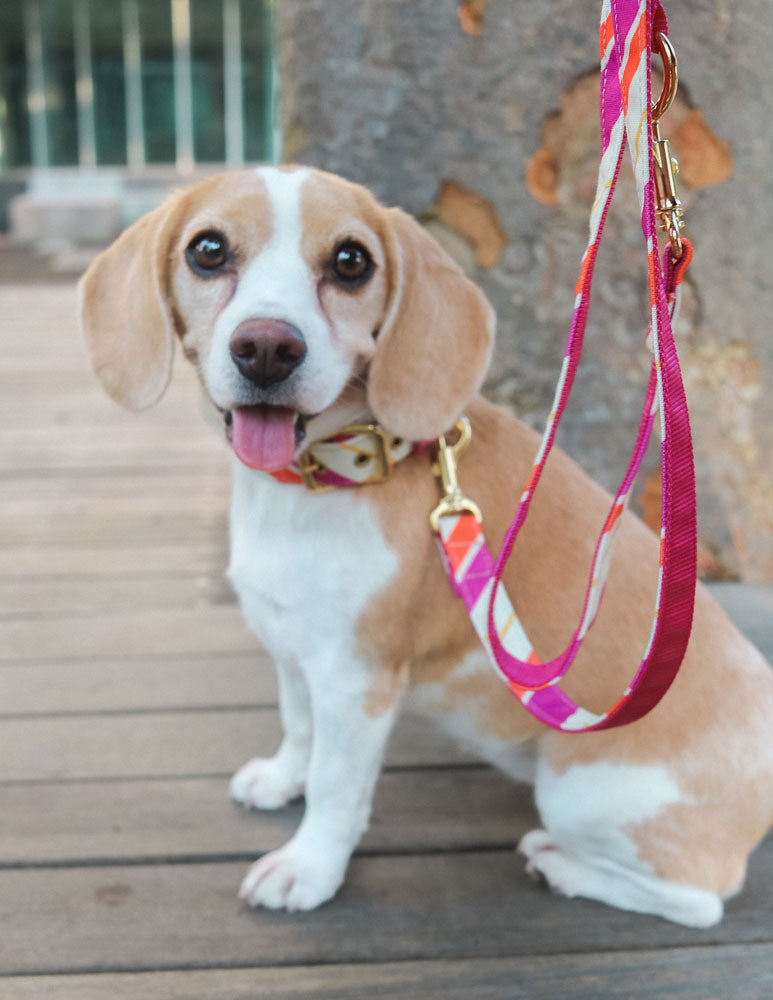 RANDOM STRIPE LEAD / PINK