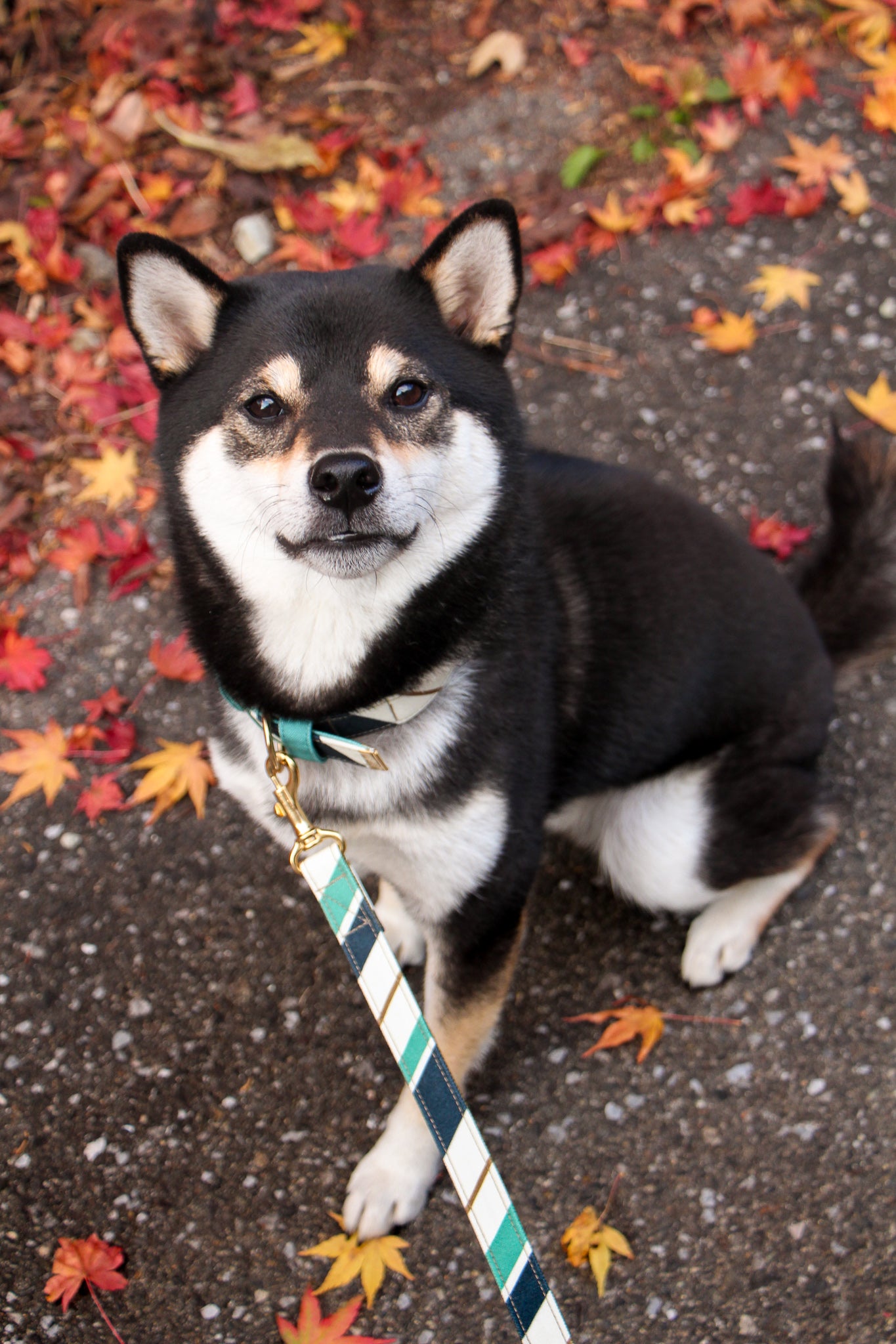 RANDOM STRIPE LEASH / GREEN