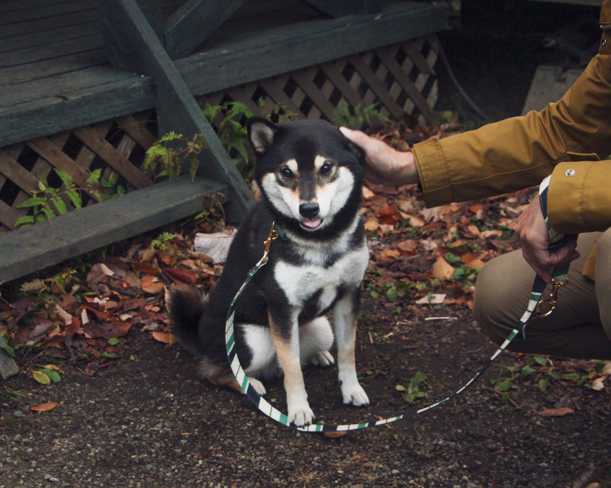 RANDOM STRIPE LEASH / GREEN