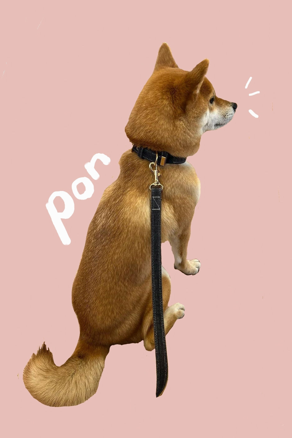 THE BASIC DENIM LEASH 2