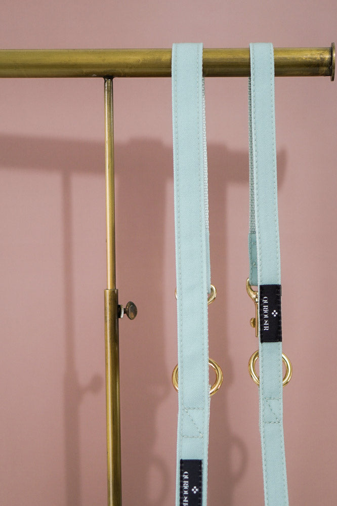 BASIC LEASH / MINT GREEN