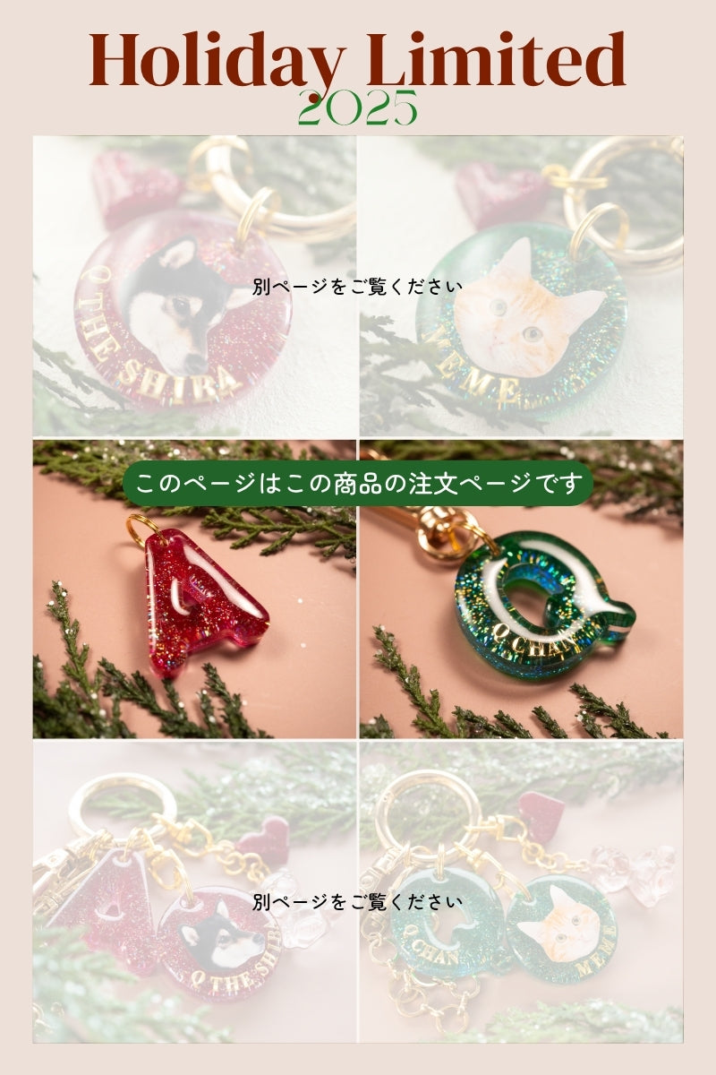 【Holiday Limited 2025】アルファベット迷子札