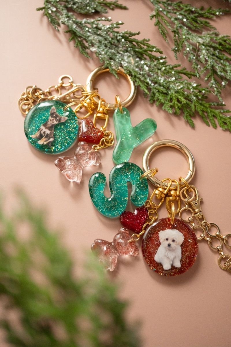 【Seasons Edition 25AW】フルセット 全6色