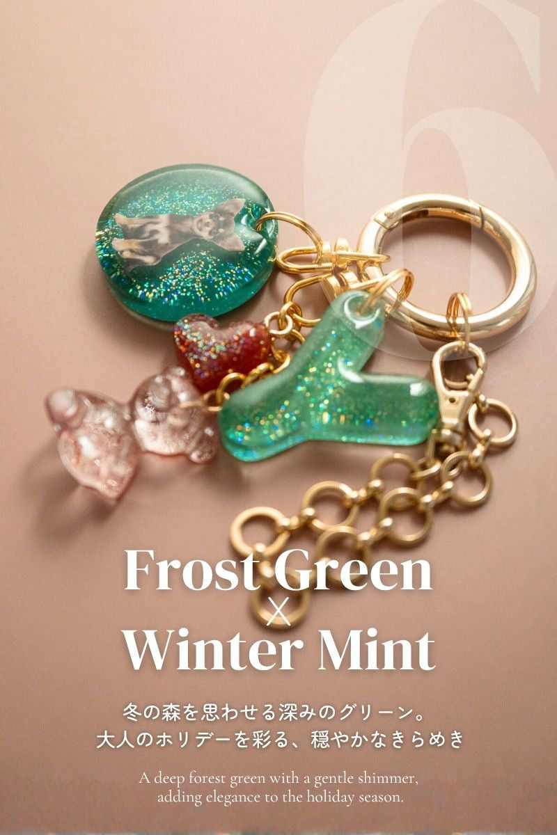 【Seasons Edition 25AW】フルセット 全6色