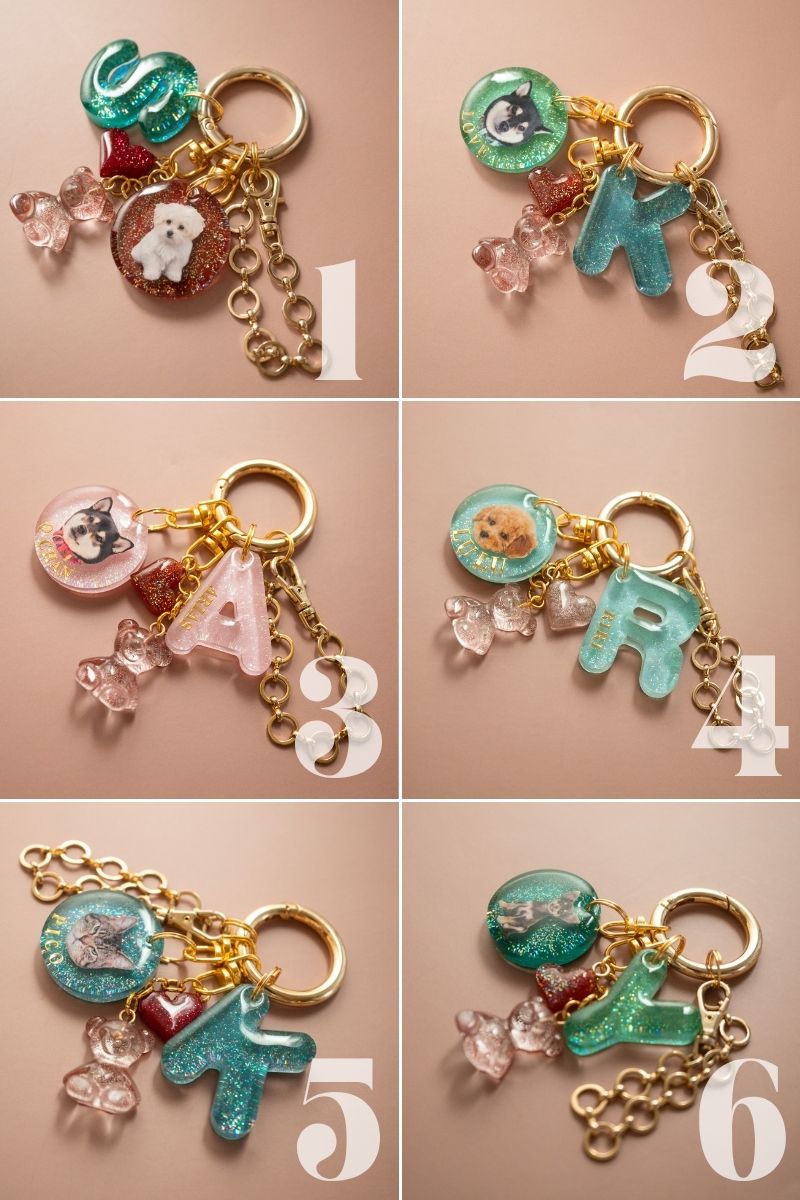 【Seasons Edition 25AW】フルセット 全6色