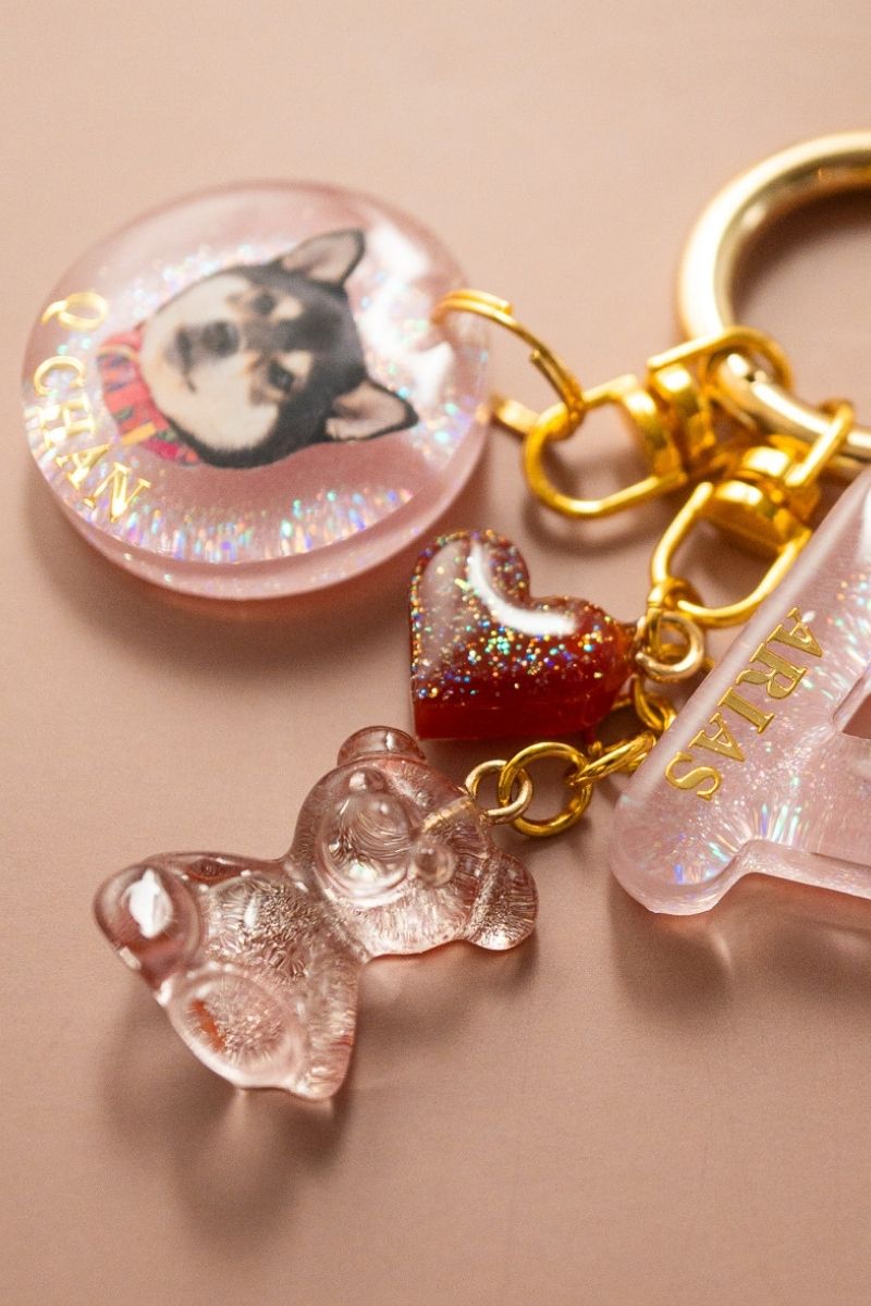 【Seasons Edition 25AW】フルセット 全6色