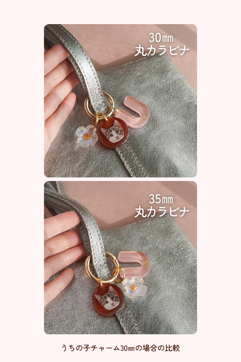 【Seasons Edition 25SS】フルセット