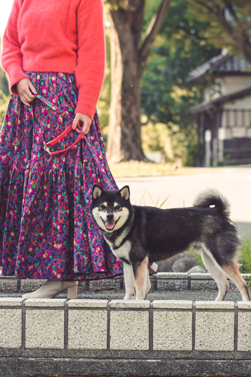 LIBERTY FABRICS COLLAR / Wandering