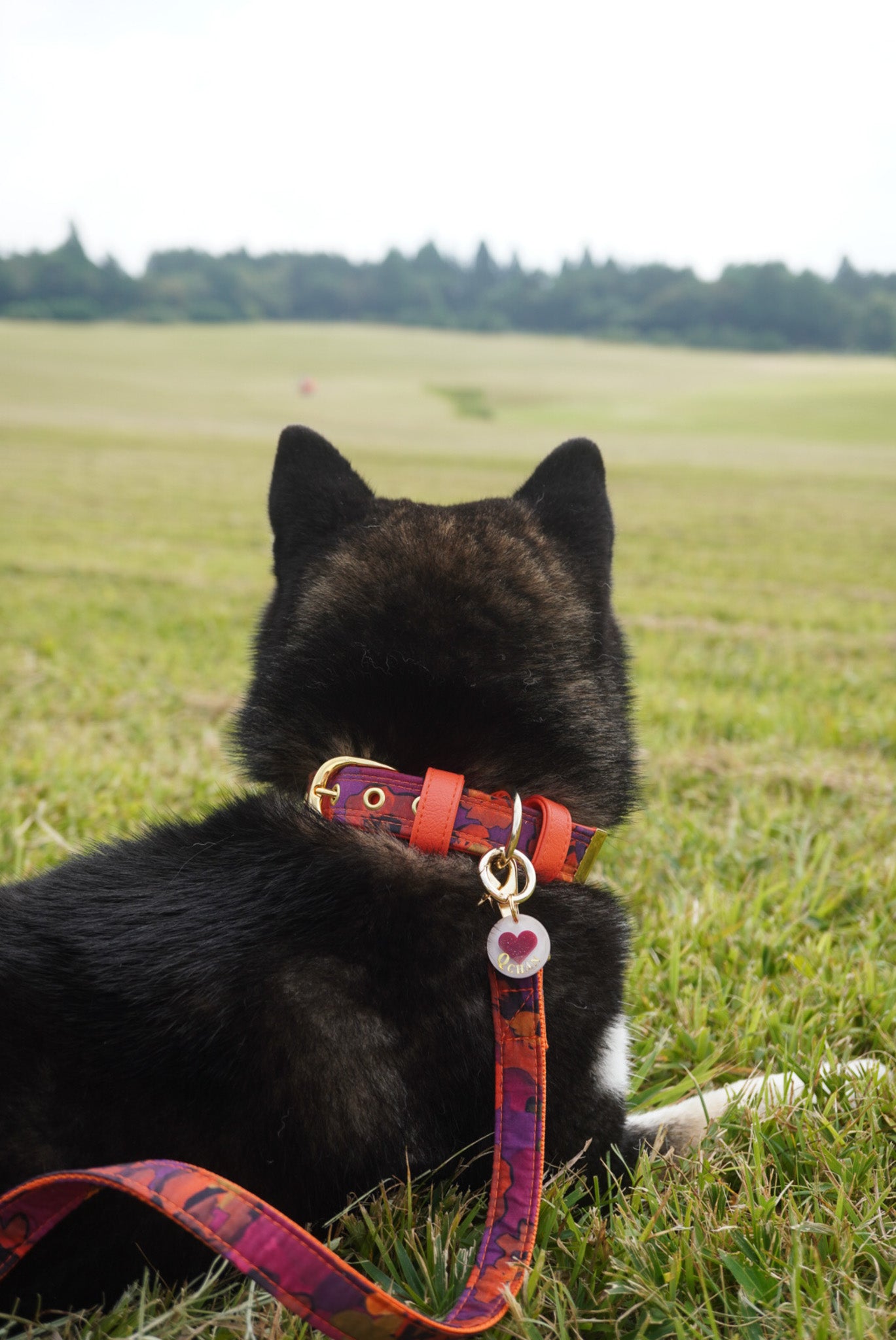 LIBERTY FABRICS LEASH / JemmaRose / Orange